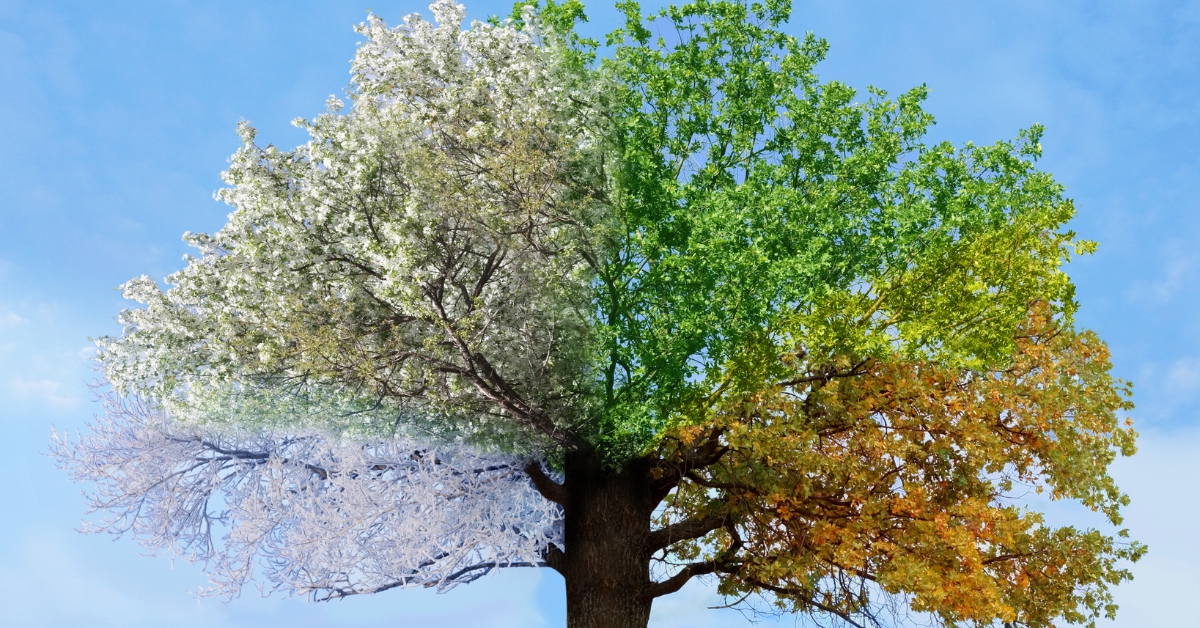 Marketing for Seasonal Businesses