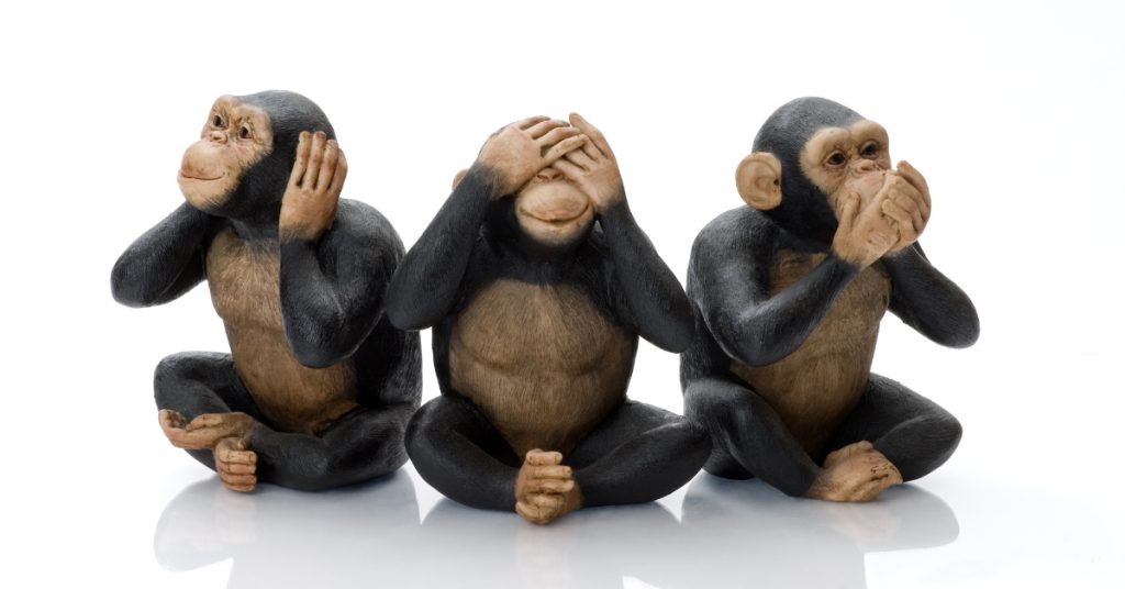 cheeky chimp blog images